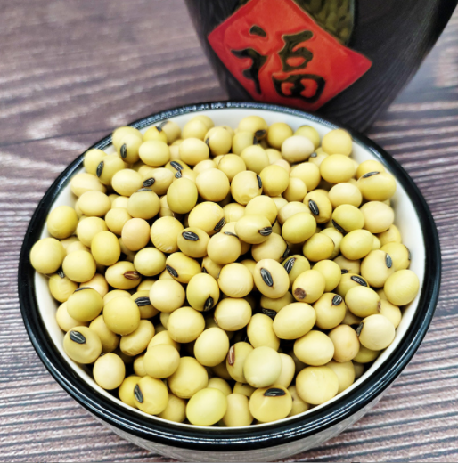 河北粮沺食品黄豆批发代加工张家口坝上特产黄豆多品种多等级豆子