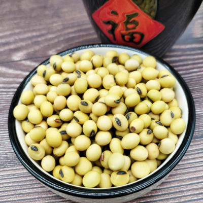 河北粮沺食品黄豆批发代加工张家口坝上特产黄豆多品种多等级豆子