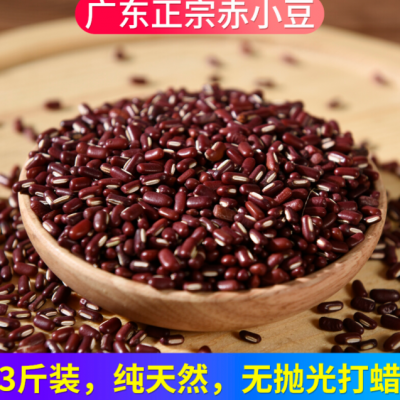 3斤广东正宗的赤小豆农家自产纯天然长粒有机红豆赤豆杂粮中药用