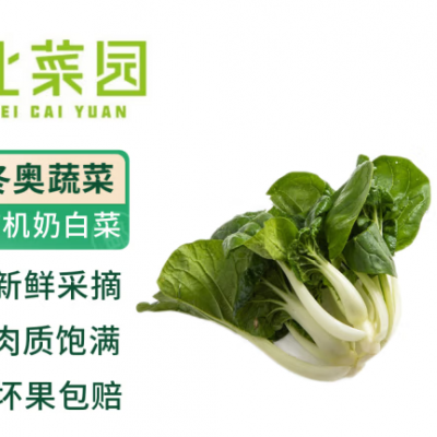 北菜园有机奶白菜250g火锅涮菜食材孕产宝宝有机新鲜蔬菜白菜