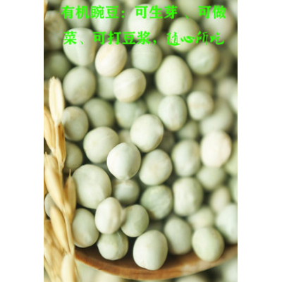 娄家寨东北黑龙江有机干的豌豆400g杂粮绿豌豆青豆粒生新五谷食用